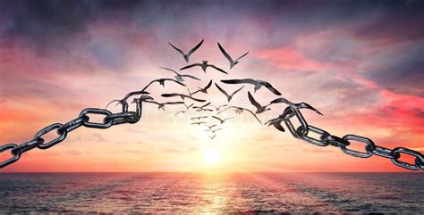 Photos et images libres de droits par Dreamstime.